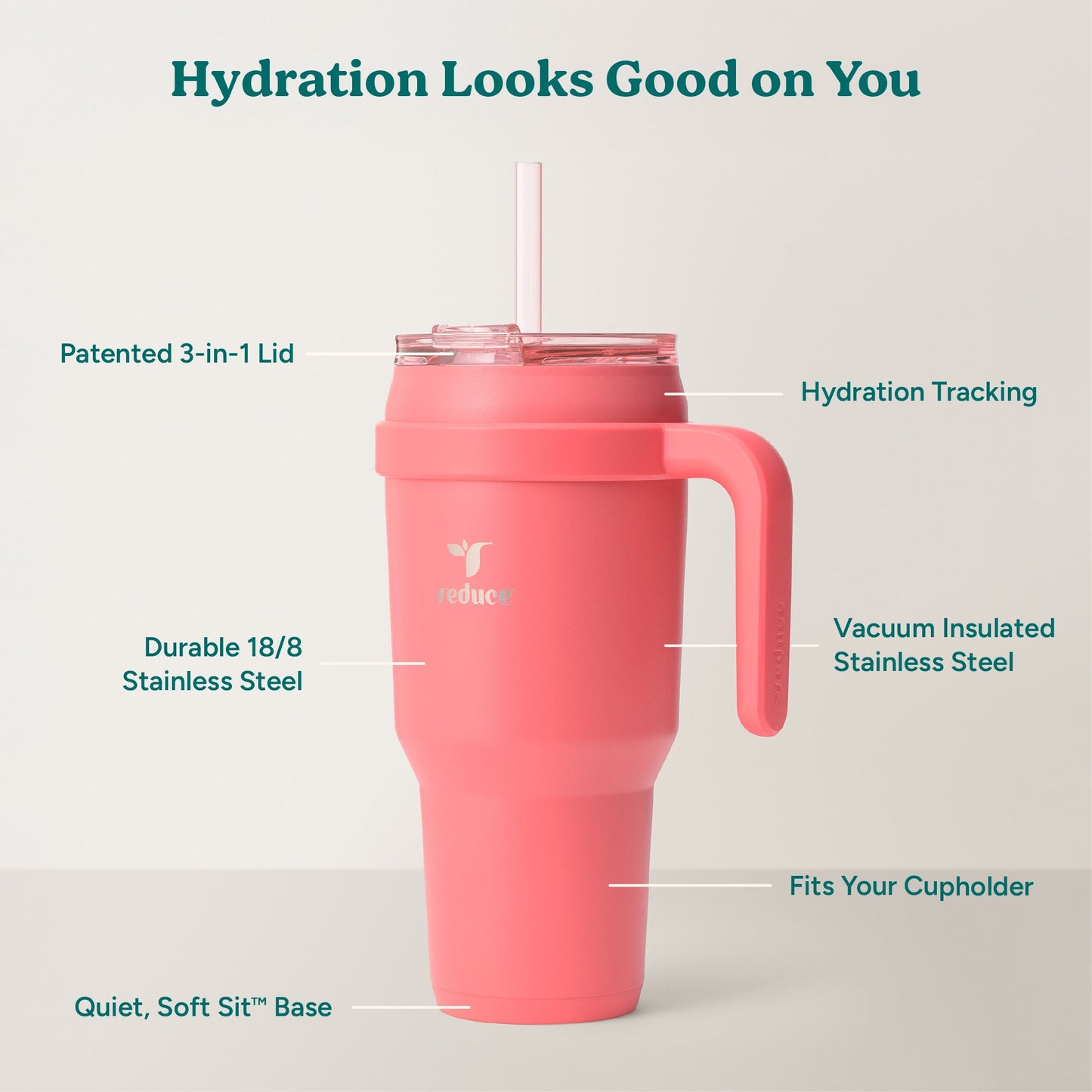 cold1-40-oz-h8 Cold1_40oz_Daiquiri_Infographic_2.jpg