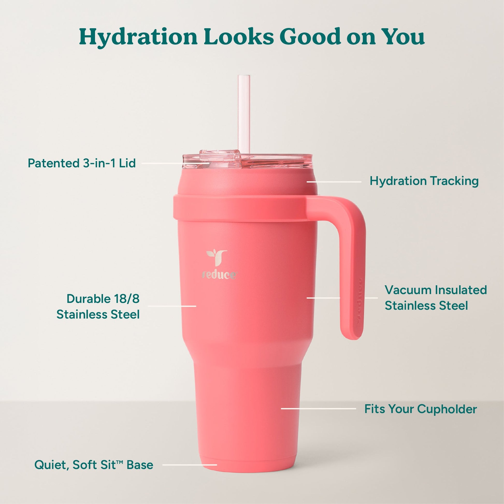 cold1-40-oz-h8 Cold1_40oz_Daiquiri_Infographic_2.jpg