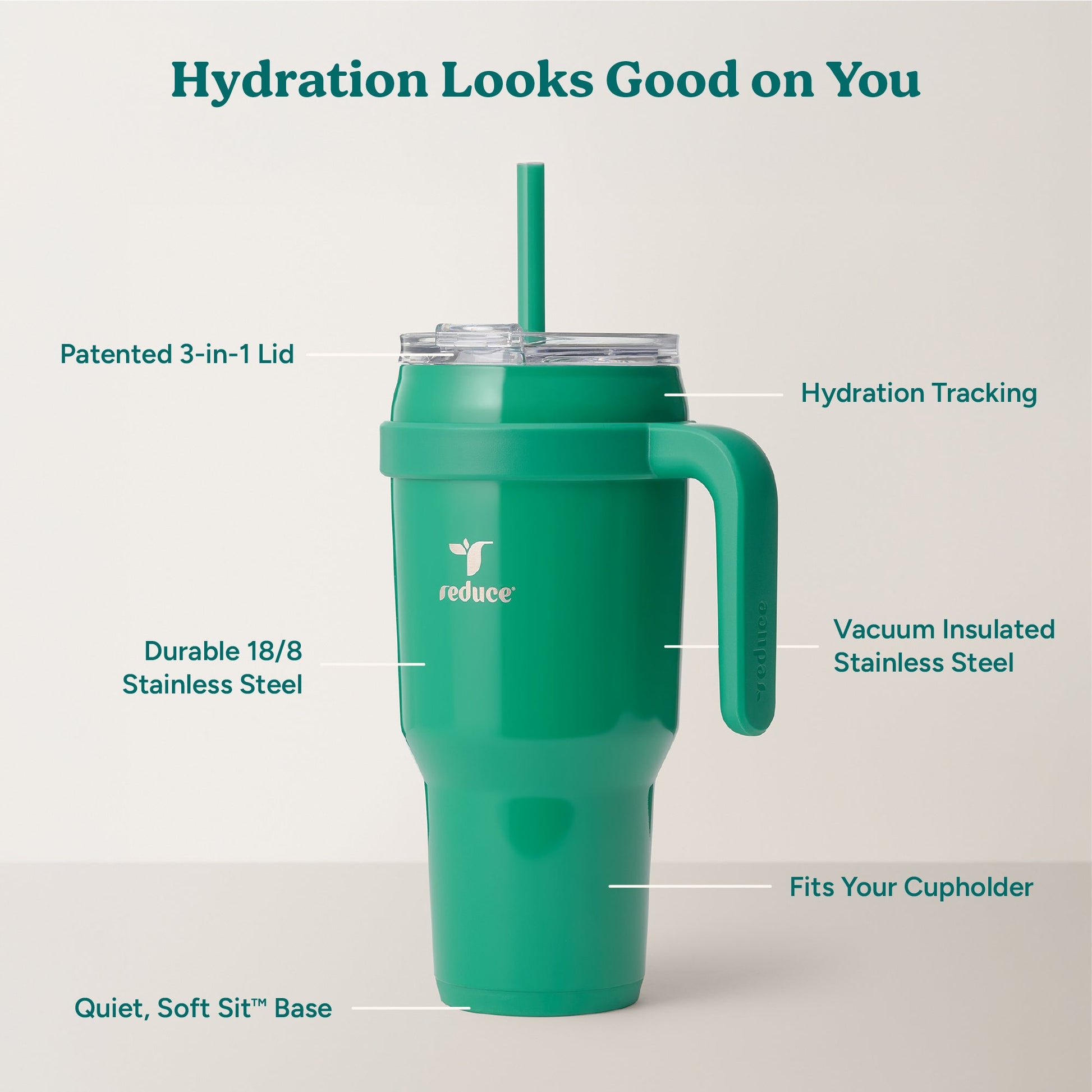 cold1-40-oz-h8 Cold1_40oz_PalmLeaf_Infographic_2.jpg