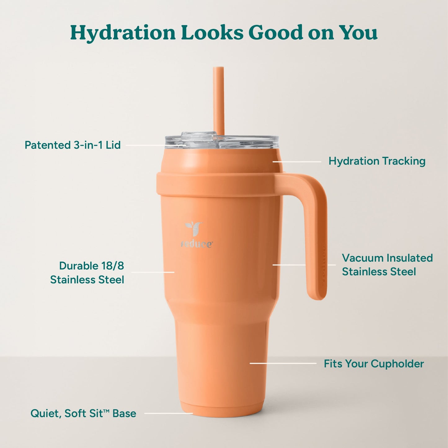 cold1-40-oz-h8 Cold1_40oz_Papaya_Infographic_2.jpg