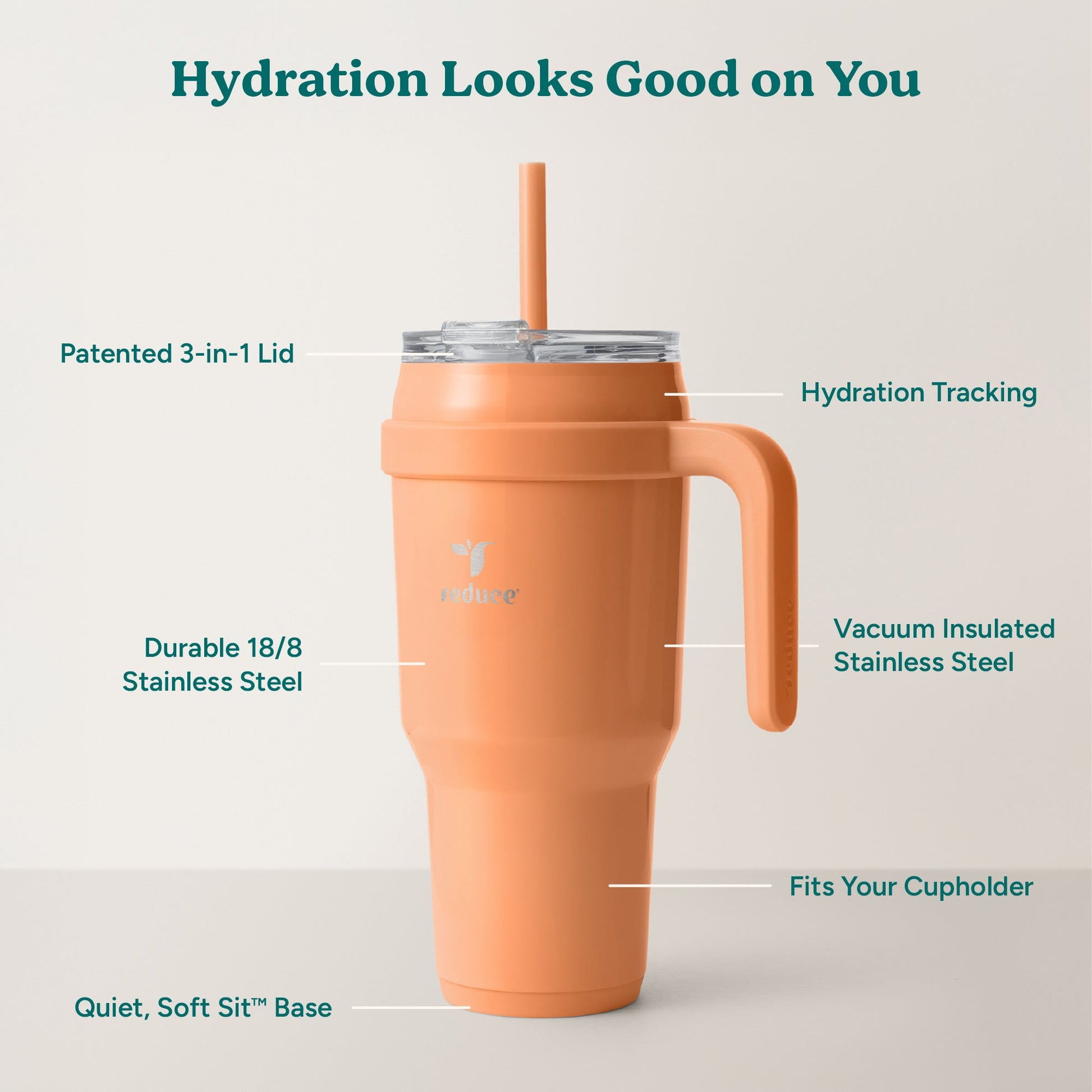 cold1-40-oz-h8 Cold1_40oz_Papaya_Infographic_2.jpg