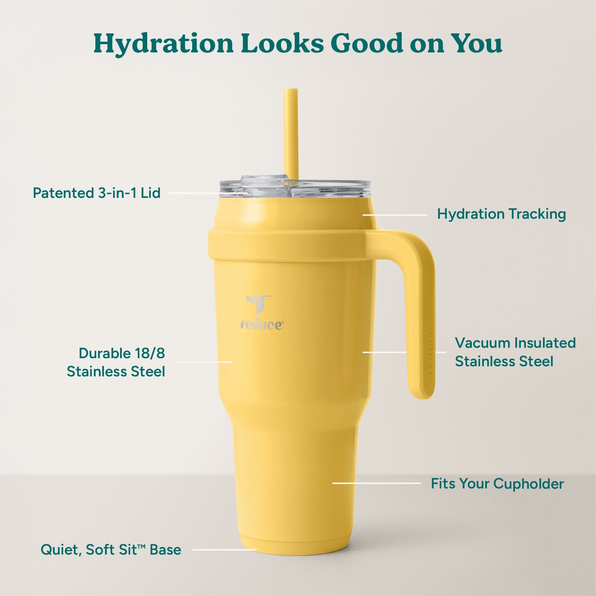cold1-40-oz-h8 Cold1_40oz_Pineapple_Infographic_2.jpg
